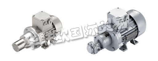 　　SCHERZINGER泵技術(shù)公司制造的移動(dòng)齒輪泵：物理和個(gè)人。