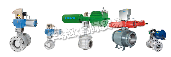 通過LEUSCH的生產計劃，客戶隨時了解其閥門的制造和測試過程。