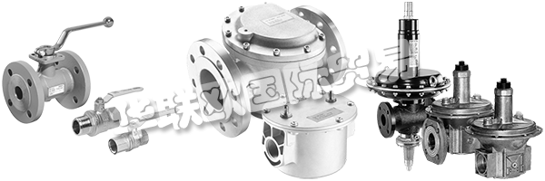 DUNGS是安全清潔氣體燃燒的同義詞，倡導與客戶緊密合作，