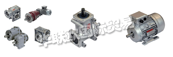 財產(chǎn)的意愿都是維持和鞏固集團的領(lǐng)導(dǎo)地位CHIARAVALLI，