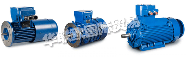 Regal成立于1954年，擁有CEMP?Srl，是意大利首批生產(chǎn)防爆防爆電機的公司之一。