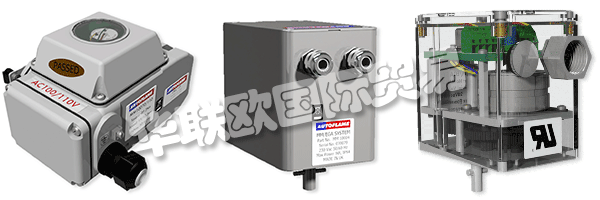 因此被視為AUTOFLAME公司和質(zhì)量管理體系的主要目標(biāo)。