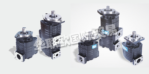 印度VELJAN主要產(chǎn)品：VELJAN齒輪泵、液壓閥等。VELJAN HYDRAIR LIMITED成立于1965年，是印度FLUID POWER公司的先驅(qū)，也是其獨(dú)立的領(lǐng)導(dǎo)者。