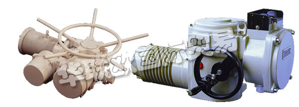 歐洲捷克ZPA-PECKY公司的產(chǎn)品主要有：ZPA PECKY執(zhí)行器、ZPA PECKY電機、伺服電機、單回轉(zhuǎn)執(zhí)行器、多回轉(zhuǎn)執(zhí)行器、杠桿伺服電機、線性伺服電機、伺服電機的配置器、ZPM變速箱、Mastergear變速箱、單轉(zhuǎn)伺服電機、多圈伺服電機、推力伺服電機。