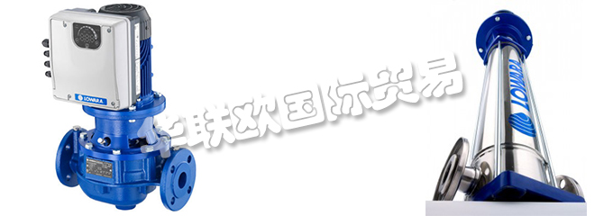 意大利LOWARA是一家專門生產(chǎn)不銹鋼泵的公司，他們提供的產(chǎn)品有：意大利LOWARA泵,、LOWARA水泵、循環(huán)器、端吸泵、多級泵、直列式泵、濕轉(zhuǎn)子循環(huán)器、變速泵、冷凝泵、自吸泵、潛水鉆孔泵、潛水污水和污水泵、潛水式脫水泵、外圍泵、泵控制器、驅(qū)動器、變頻器、控制器、壓力開關(guān)控制器。