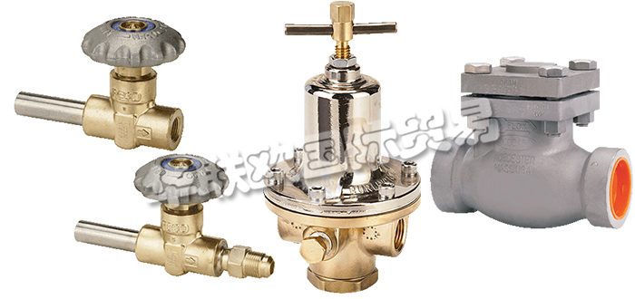 美國REGO公司主要供應(yīng)：美國REGO閥門,REGO截止閥，低溫閥，止回閥，安全閥，閘閥，分流閥，減壓閥，調(diào)壓器等產(chǎn)品。