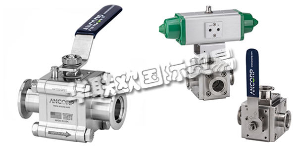 美國ANCORP公司主要供應(yīng)：美國ANCORP閥門,ANCORP過濾器，真空閥，疏水閥，真空球閥，二通球閥，三通球閥，高電導(dǎo)球閥，顆粒分離器，螺栓，螺母，固定環(huán)，夾具等產(chǎn)品。