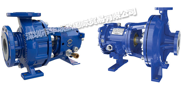 美國RUHRPUMPEN過程泵CPO ANSI