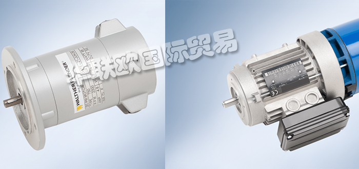 德國WALTHER FLENDER減速機(jī)ZP系列DZ系列ZP32 S 4PAB 2/1